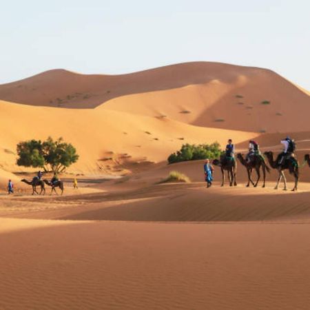 Desert Berber Fire Camp メルズーガ エクステリア 写真